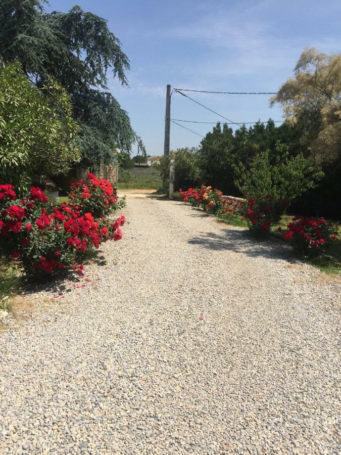 Готель Mazet Provencal Сен-Жиль Екстер'єр фото